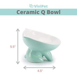 ViviPet Raised Ceramic Cat Food Q Bowl Dish, Tilt Angle Protect Cats Spine, Gift for Cat