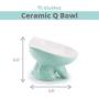ViviPet Raised Ceramic Cat Food Q Bowl Dish, Tilt Angle Protect Cats Spine, Gift for Cat