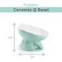 ViviPet Raised Ceramic Cat Food Q Bowl Dish, Tilt Angle Protect Cats Spine, Gift for Cat ViviPet Raised Ceramic Cat Food Q Bowl Dish, Tilt Angle Protect Cats Spine, Gift for Cat