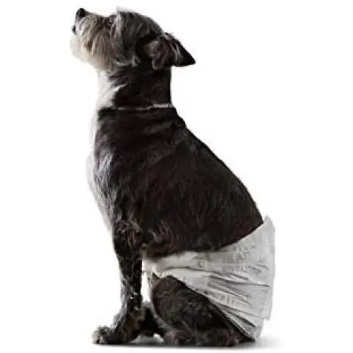 Amazon Basics Male Dog Wrap, Disposable Diapers, Small (12-18'' Waist) - Pack of 30