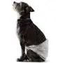 Amazon Basics Male Dog Wrap, Disposable Diapers, Small (12-18'' Waist) - Pack of 30