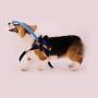MOMU Blind Dog Harness, Blind Dog Harness Guide Device – Help for Blind Dogs or Visually Impaired Pets to Avoid Accidents & Build Confidence – Ideal Blind Dog Accessory to Navigate Surroundings