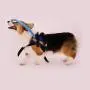 MOMU Blind Dog Harness, Blind Dog Harness Guide Device – Help for Blind Dogs or Visually Impaired Pets to Avoid Accidents & Build Confidence – Ideal Blind Dog Accessory to Navigate Surroundings MOMU Blind Dog Harness, Blind Dog Harness Guide Device – Help for Blind Dogs or Visually Impaired Pets to Avoid Accidents & Build Confidence – Ideal Blind Dog Accessory to Navigate Surroundings