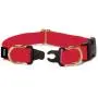 Petsafe KeepSafe Break-Away Collar, Prevent Collar Accidents for your Dog or Puppy, Improve Safety, Compatible with Leash Use, Adjustable Sizes Petsafe KeepSafe Break-Away Collar, Prevent Collar Accidents for your Dog or Puppy, Improve Safety, Compatible with Leash Use, Adjustable Sizes
