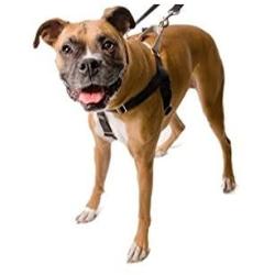2 Hounds Design Freedom No-Pull No Leash Harness Only, 1-Inch, 2X-Large, Royal Blue