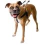 2 Hounds Design Freedom No-Pull No Leash Harness Only, 1-Inch, 2X-Large, Royal Blue