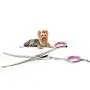 Dog Grooming Scissors Curved 7 Inch Stainless Steel with Safety Round Tips Professional Pet Grooming Shears for Dogs and Cats Dog Grooming Scissors Curved 7 Inch Stainless Steel with Safety Round Tips Professional Pet Grooming Shears for Dogs and Cats