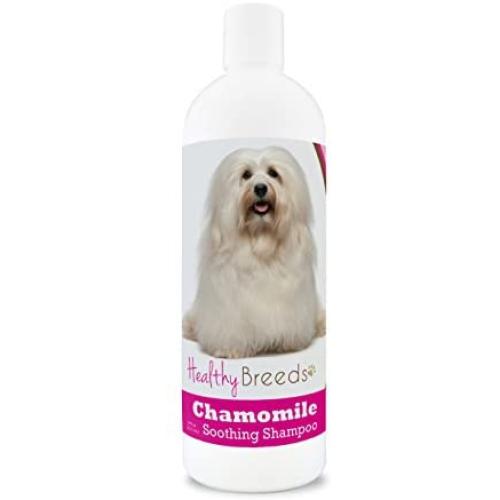 Healthy Breeds Chamomile Dog Shampoo & Conditioner with Oatmeal & Aloe for Havanese - OVER 200 BREEDS - 8 oz - Gentle for Dry Itchy Skin - Safe with Flea and Tick Topicals