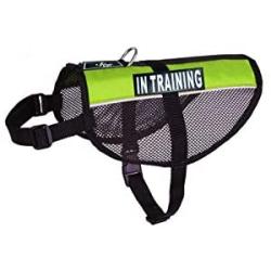 in Training Service Dog mesh Vest Harness Cool Comfort Nylon for Dogs Small Medium Large Purchase Comes with 2 Reflective in Training Removable Patches