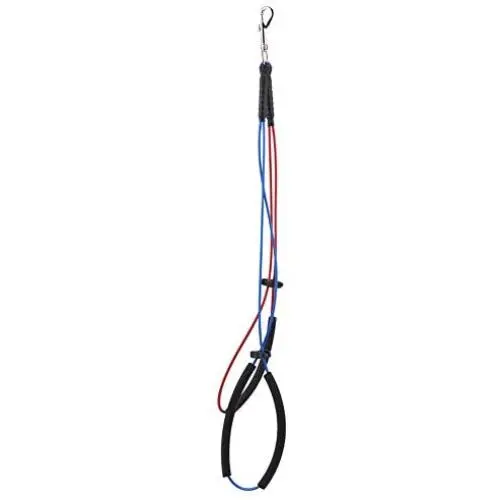 Felenny Pet Bathing Tether Straps Dog Cat Grooming Loop Adjustable Single Noose Ropes Steel Wire Hanging Rope for Pet Table Arm Bath Tub Felenny Pet Bathing Tether Straps Dog Cat Grooming Loop Adjustable Single Noose Ropes Steel Wire Hanging Rope for Pet Table Arm Bath Tub
