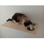 A Cats Domain Wall Mounted Cat Feeding Shelf (Elevated Diner) Physical Size: Depth- 12.75 Inches, Width- 18 Inches, Height- 2.5 Inches, (18 Width, Unfinished)