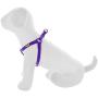 Pawtitas Pet Adjustable Solid Color Step in Puppy/Dog Harness 6 feet Matching Collar and Harness Sold Separately