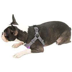 Gooby - Trekking Harness, Small Dog Fleece Lined Harness with Memory Foam Padding
