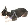 Gooby - Trekking Harness, Small Dog Fleece Lined Harness with Memory Foam Padding