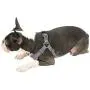 Gooby - Trekking Harness, Small Dog Fleece Lined Harness with Memory Foam Padding Gooby - Trekking Harness, Small Dog Fleece Lined Harness with Memory Foam Padding