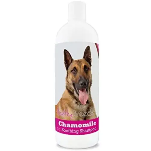 Healthy Breeds Chamomile Dog Shampoo & Conditioner with Oatmeal & Aloe for Belgian Malinois - OVER 200 BREEDS - 8 oz - Gentle for Dry Itchy Skin - Safe with Flea and Tick Topicals