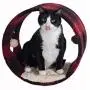Armarkat Model B1601 Cat Hideaway Tunnel, Scotch Plaid, Black/red, 16''''(l) x 10''''(w) x 16''''(h) Armarkat Model B1601 Cat Hideaway Tunnel, Scotch Plaid, Black/red, 16''''(l) x 10''''(w) x 16''''(h)