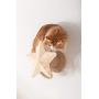 MYZOO Twinkle Star, Cat Tree, Scratcher Made of Solid Wood Modern Furniture Design,Also Suitable for Kitten