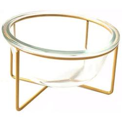 Glass Rasied Bowl for Cat Puppy Water Food Feeder wih Elevated Steel Stand, Tilt Angle, Stress Free Comfor Feeding Bowl (Glass Clear, Medium)