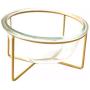 Glass Rasied Bowl for Cat Puppy Water Food Feeder wih Elevated Steel Stand, Tilt Angle, Stress Free Comfor Feeding Bowl (Glass Clear, Medium)