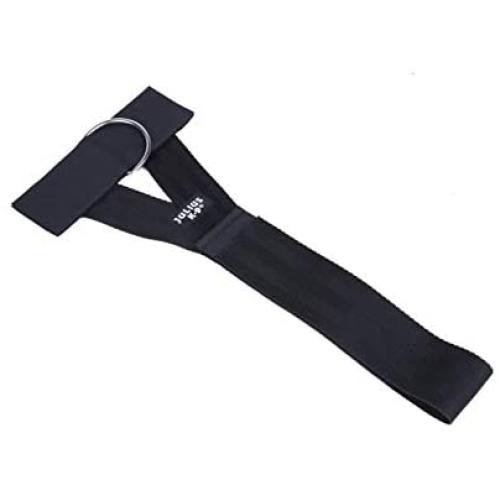 Julius-K9 Front Control Y-Belt with D-ring for Dogs