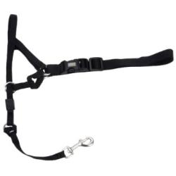 Coastal - Walk n Train! - Dog Head Halter, Black, LRG (3)