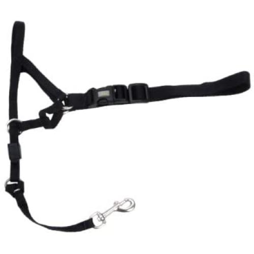 Coastal - Walk n Train! - Dog Head Halter, Black, LRG (3)