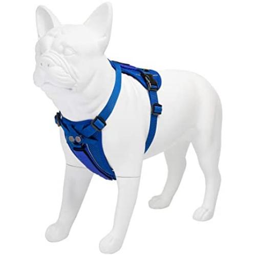 Voyager Freestyle 4-in-1 Dog Harness - Patent Pending Adjustable Webbing Harness with Removable Padding for Small to Large Dogs by Best Pet Supplies (Black, X-Small)