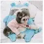 Touchdog Critter Hugz Designer Character Dog Mats, One Size, Mint Green
