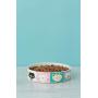 Mason Cash Pawtrait Cat Storage D11 X H13cm, One Size