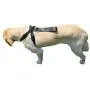 Downtown Pet Supply Premium Pet Dog Harness and Safety Seatbelt Car Restraint, Color Black, Suitable for Small Dogs Downtown Pet Supply Premium Pet Dog Harness and Safety Seatbelt Car Restraint, Color Black, Suitable for Small Dogs