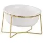 LIONWEI LIONWELI Glass Tilted Elevated Cat Dog Bowl Raised Cat Food Water Bowl Dish Pet Comfort Feeding Bowls with Gold Iron Stand LIONWEI LIONWELI Glass Tilted Elevated Cat Dog Bowl Raised Cat Food Water Bowl Dish Pet Comfort Feeding Bowls with Gold Iron Stand