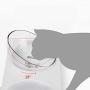 Songchet Double Dog Cat Bowls,Pet Raised Feeder Bowl No-Spill Pet Food Water Bowls for Cats and Small Dog