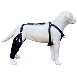 Labra Dog Canine K9 Knee Brace with Required Chest Halter Harness