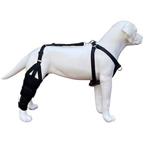 Labra Dog Canine K9 Knee Brace with Required Chest Halter Harness