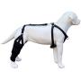 Labra Dog Canine K9 Knee Brace with Required Chest Halter Harness