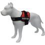 ALBCORP Reflective Therapy Dog Vest Harness, Woven Polyester & Nylon, Adjustable Service Animal Jacket, with 2 Hook and Loop Therapy Dog Removable Patches