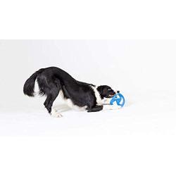 WO Design WO Disc USA Made Dog Frisbee Tug Toy, Blue