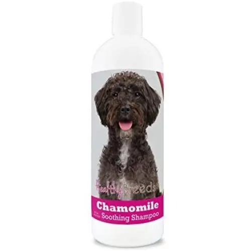 Healthy Breeds Chamomile Dog Shampoo & Conditioner with Oatmeal & Aloe for Schnoodle - OVER 200 BREEDS - 8 oz - Gentle for Dry Itchy Skin - Safe with Flea and Tick Topicals Healthy Breeds Chamomile Dog Shampoo & Conditioner with Oatmeal & Aloe for Schnoodle - OVER 200 BREEDS - 8 oz - Gentle for Dry Itchy Skin - Safe with Flea and Tick Topicals
