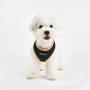Puppia Soft Mesh Dog Harness
