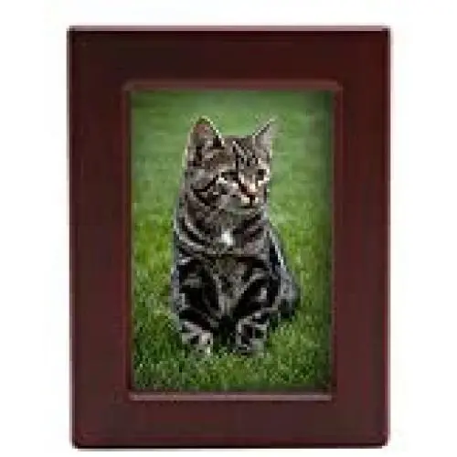 Near & Dear Pet Memorials MDF Pet Photo Cremation Urn Near & Dear Pet Memorials MDF Pet Photo Cremation Urn