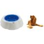 Chilled Pet Cooler Bowl Keeps Water Cool and Fresh for Hours Dogs & Cats