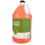 Bark 2 Basics Deodorizing Dog Shampoo, 1 Gallon | Features Powerful Odor Neutralizer Odortrol, Soap-Free, Cruelty-Free, 100% Biodegradable, Made In The USA