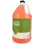 Bark 2 Basics Deodorizing Dog Shampoo, 1 Gallon | Features Powerful Odor Neutralizer Odortrol, Soap-Free, Cruelty-Free, 100% Biodegradable, Made In The USA Bark 2 Basics Deodorizing Dog Shampoo, 1 Gallon | Features Powerful Odor Neutralizer Odortrol, Soap-Free, Cruelty-Free, 100% Biodegradable, Made In The USA