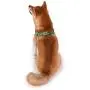 Scooby-Doo Warner Brothers Dog Harness | Soft and Comfortable Medium Dog Harness Dog Harness No Pull Tan and Blue Dog Harness Scooby-Doo Warner Brothers Dog Harness | Soft and Comfortable Medium Dog Harness Dog Harness No Pull Tan and Blue Dog Harness