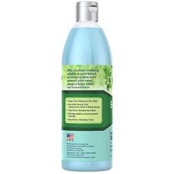 PetAg Fresh n Clean Everyday Fresh Itch Relief Shampoo, 16 oz