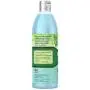 PetAg Fresh n Clean Everyday Fresh Itch Relief Shampoo, 16 oz PetAg Fresh n Clean Everyday Fresh Itch Relief Shampoo, 16 oz