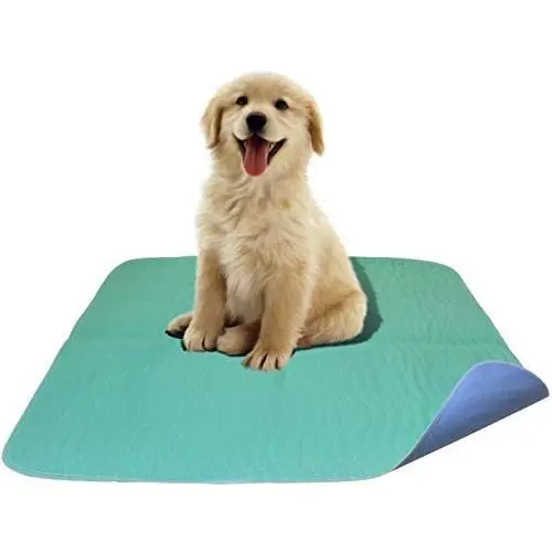 Careoutfit 2 Pack - Premium Waterproof Reusable/Quilted Washable Large Dog/Puppy Training Travel Pee Pads - Size 34 x 36