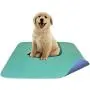 Careoutfit 2 Pack - Premium Waterproof Reusable/Quilted Washable Large Dog/Puppy Training Travel Pee Pads - Size 34 x 36