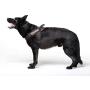 Dingo Gear Multifunctional Harness for Dog in Work, Guard Dog Training, K9 and Ipo, Cobra System Handmade